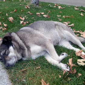 ����. ��������. ��� �������.....