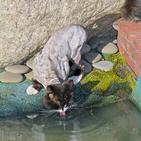 ����. ���� ��������. �� �������.