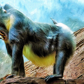 �������, �� ����!