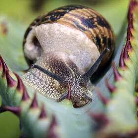 ����. ���� ��������. �� �������� ������