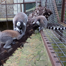 ����. ���������. ��������� �������, ���������������