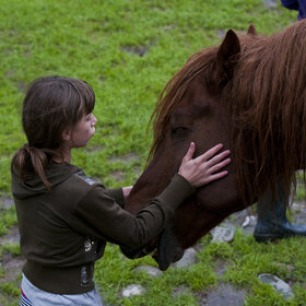 ����. �������� ��������. �������� ��������