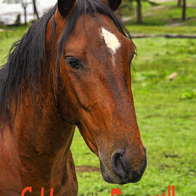 ����. ��������. � ����� �����, ��������� �������!