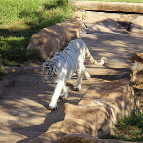 ����. ���� ��������. ��������� ��������.