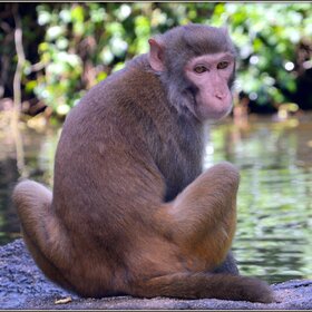 �� ��������� ����������...