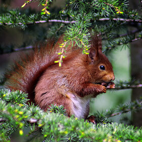 ����. �����. �� ������ �� ������,