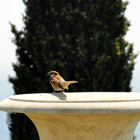 ����. ��������. �������� ����������