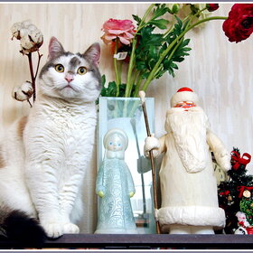 ����. �������� ��������. � ����� ����� ������!