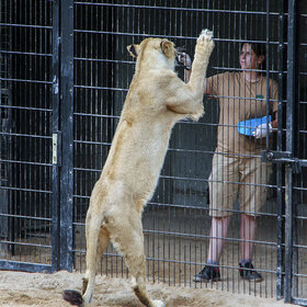 ����. ʸ���. ��� ����� ���. ����� ����, �����