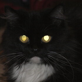 ����. �������� ��������. �������� ��������