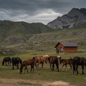 ����. �������� ��������. �������� ��������