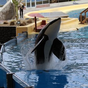 ����. ����� ����. ������ �� ������.