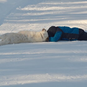 ����. �������� �������. ������