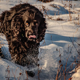 ����. ������. �����