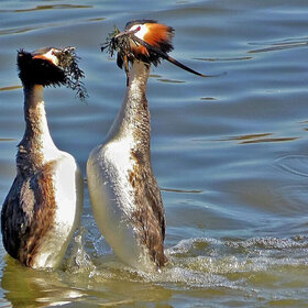 ���� ���� �����