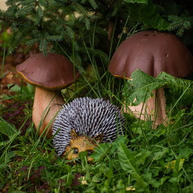 ����. ���� ��������. �������