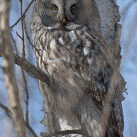 ����. ���� ��������. ��������� �������