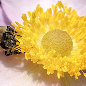 ����. ʸ���. *****