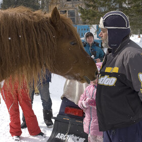 ����� ���� ��������. �������� ��������