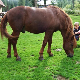 ���� ��������. �������� ��������