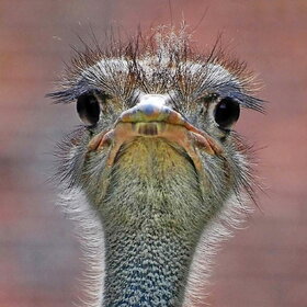 ����. ���� ��������. �������� ����������.