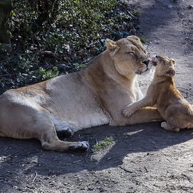 ����. ʸ���. ������� ����