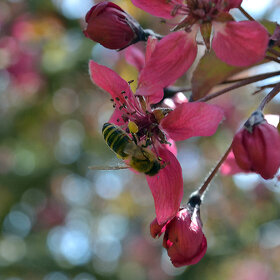 ����. ���������. �������� ��������