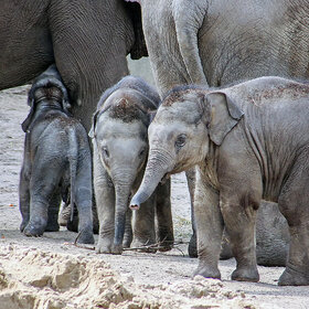 ����. ʸ���. �����