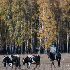 ����. ���� ��������. �������� ��������