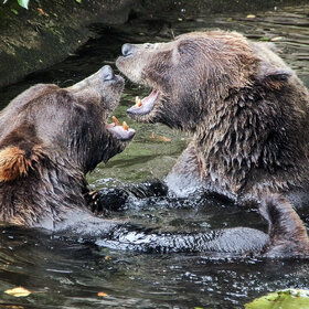 ����. ʸ���. ����� � �������