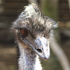 ����. ���� ��������. ����� ������������.