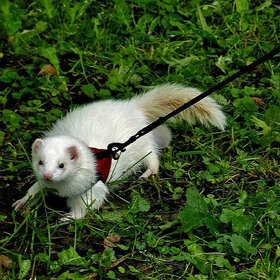 ����. ���� ��������. �� ����� ������ ������...