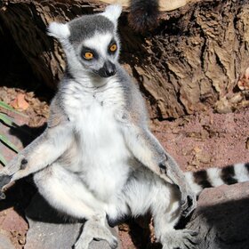 ����. �������. "�����, �� �� ���� �� ��� ���"...