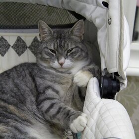 �� ��� ������ �������, �� ������ ��� ��� �������.