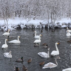 ����. �����. ��������� �����