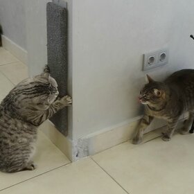 �������