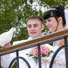 ����. ���� ��������. �����