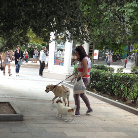 ����. ��������. ����� ������������?......