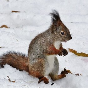 ����� ���� ��������. ��� ������ ������!