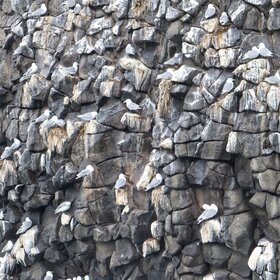 ����. ���������. ������� �����