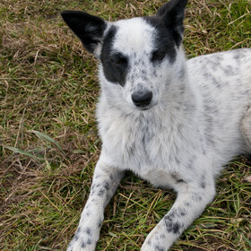 ����. ���� ��������. �������� ��������