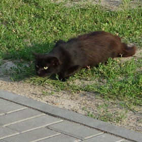 ����. ���� ��������. �� �����