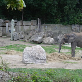 ����. ���� ��������. �� �������