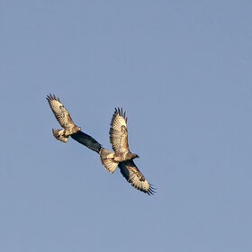 ����. ������. ����� � ����