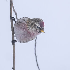 ����. ����. �������