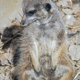 ����. �������. ����� ������