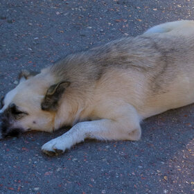 ����. ���� ��������. �������� ������