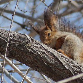 ����. �����. �������� �������