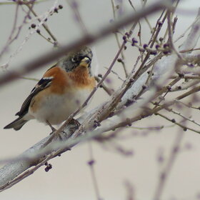 ����. �����. ������