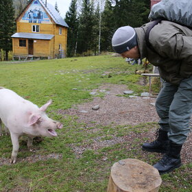 ����� ���� ��������. �������� ��������